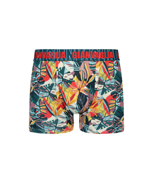 5 pack Gianvaglia Heren Boxershorts ’Botanica’ 5067. - Boxershort