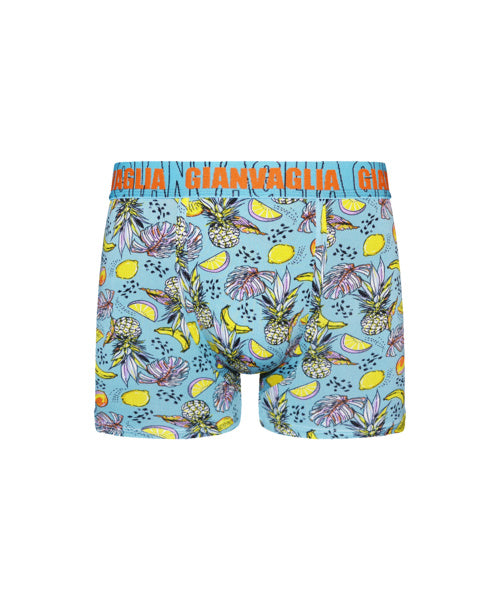 5 pack Gianvaglia Heren Boxershorts ’Botanica’ 5067. - Boxershort